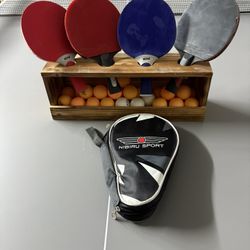 Professional Stag Outdoor Indoor Ping pong Table