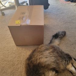 5070 FE Founders Edition Sealed GPU