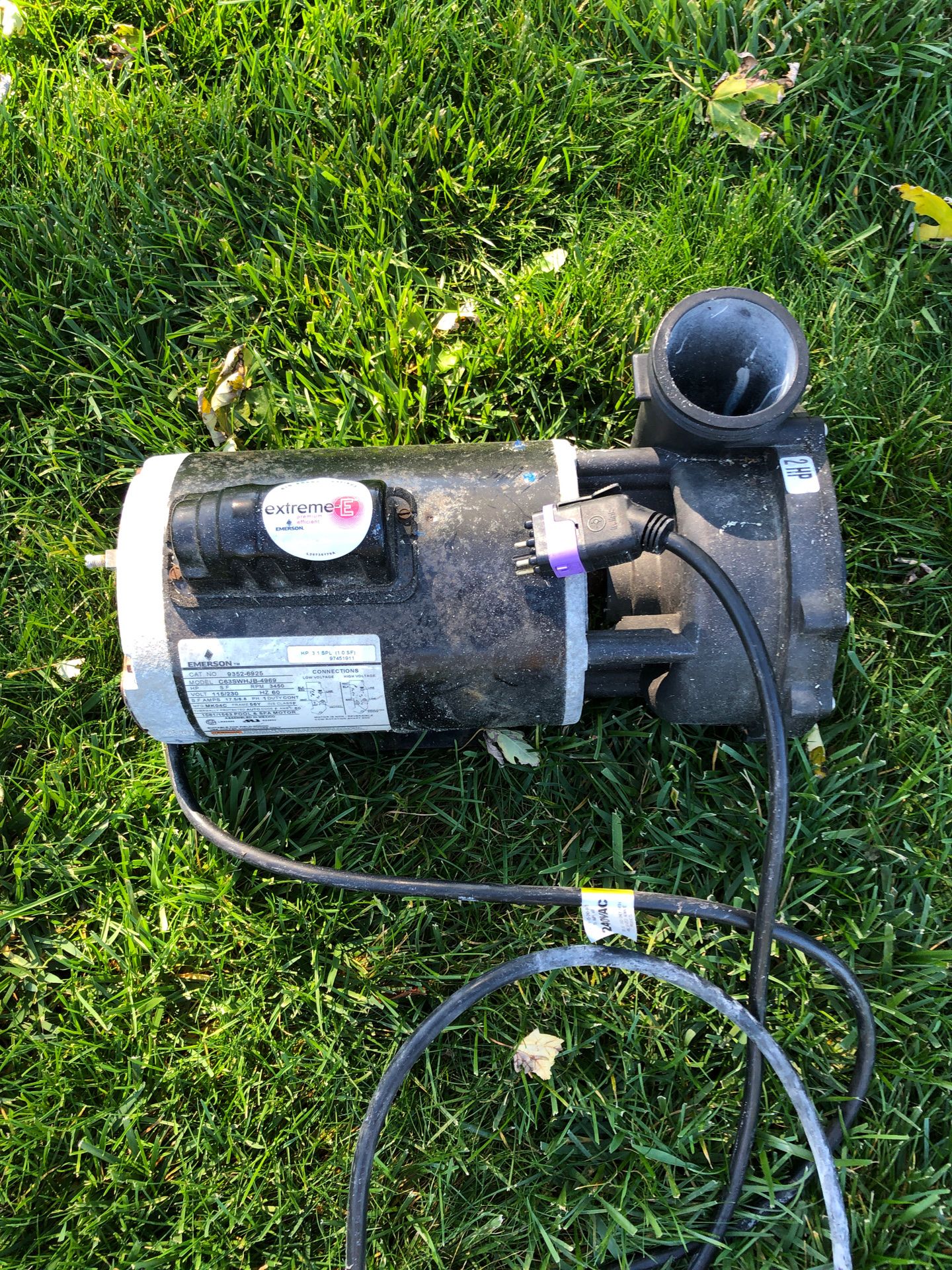 2 hp spa pump