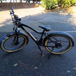 Rad Power Bikes Radrover Bike 2 Batteries 