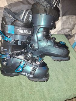 Dallbelo  Pantera ski boots mondo 22.5
