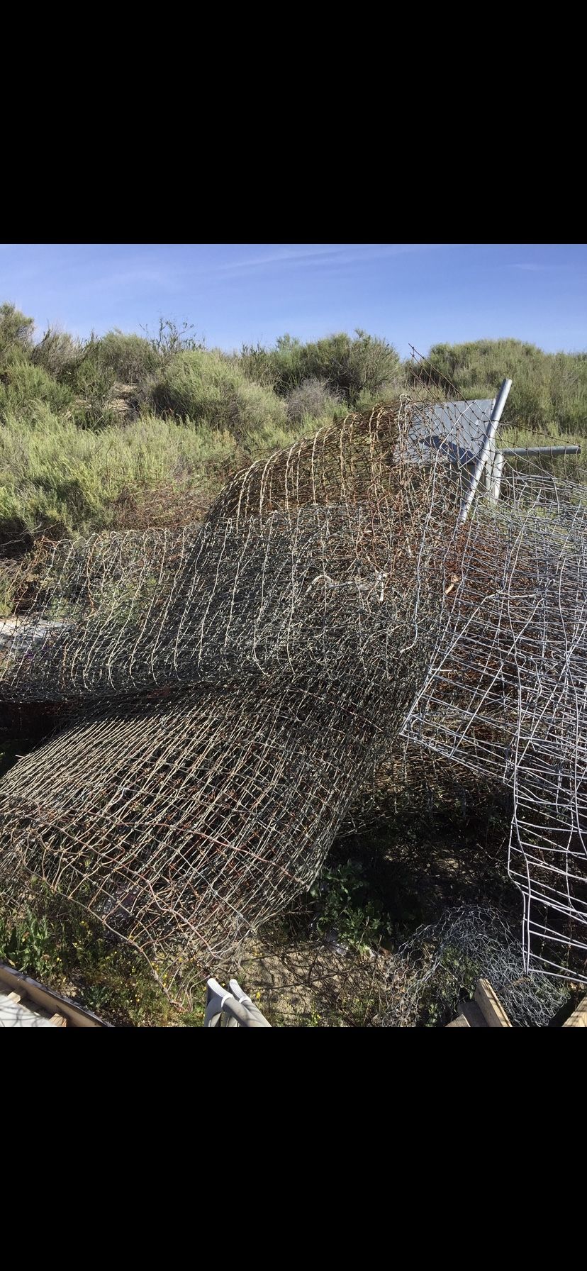 Goat Used Fencing