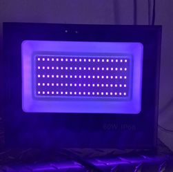 Black lights LED.