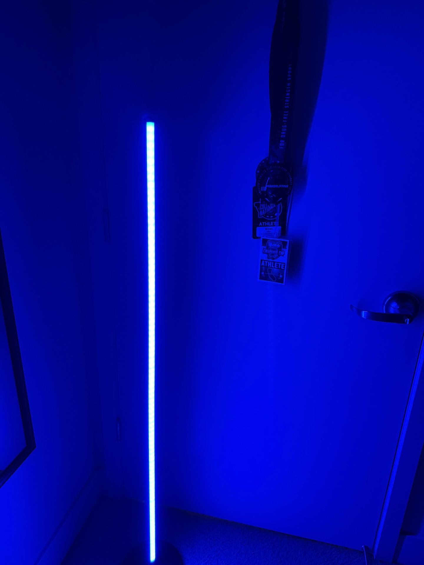 Govee RGB Floor Lamp