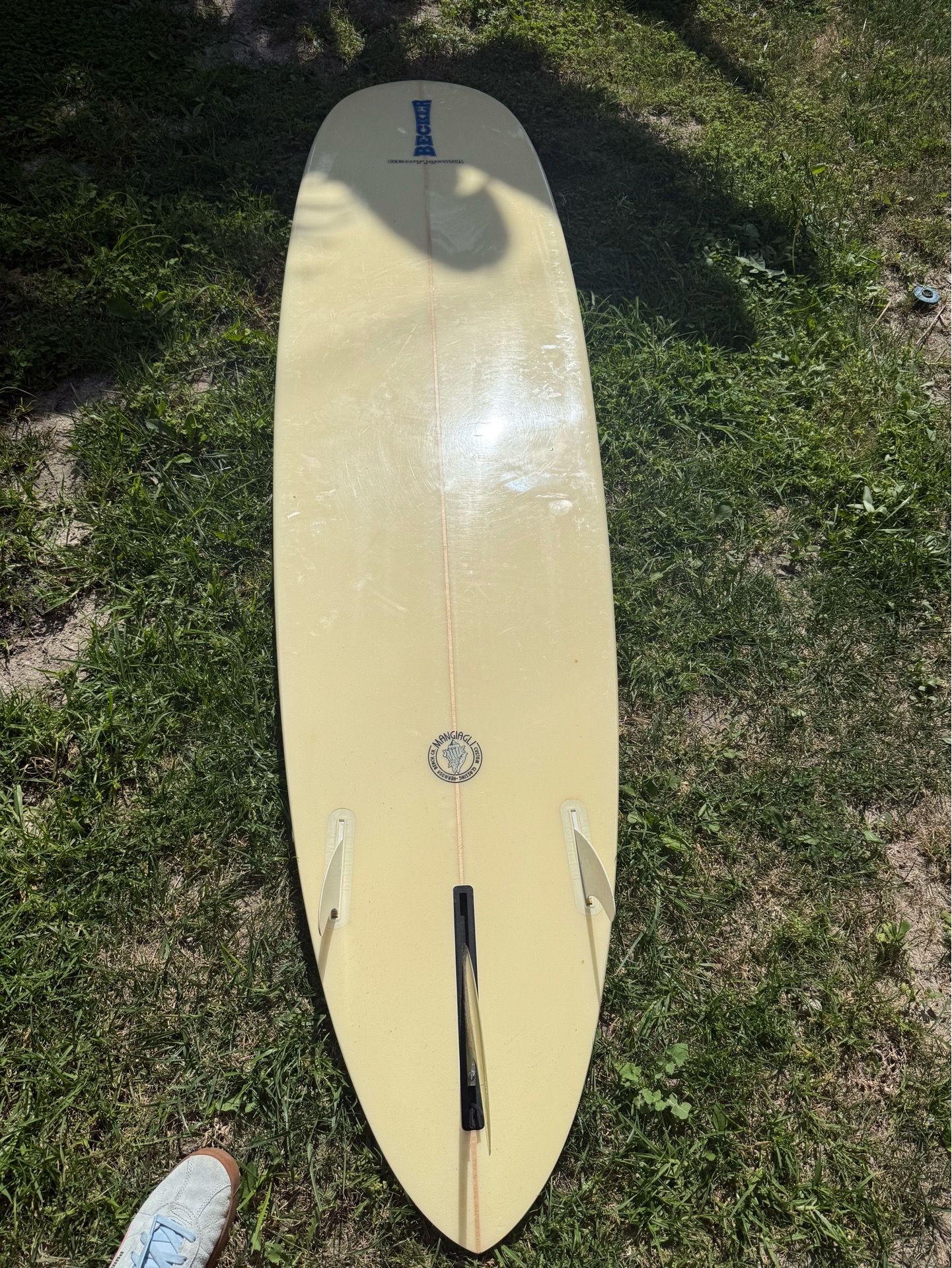 Mini Longboard