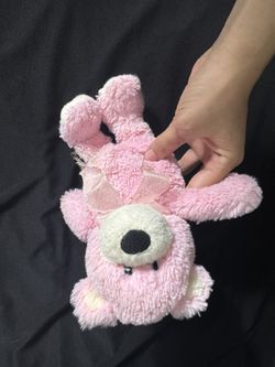 Pink Teddy Bear