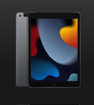 iPad 9th Gen 64 Gb