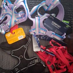 Dog Harness 