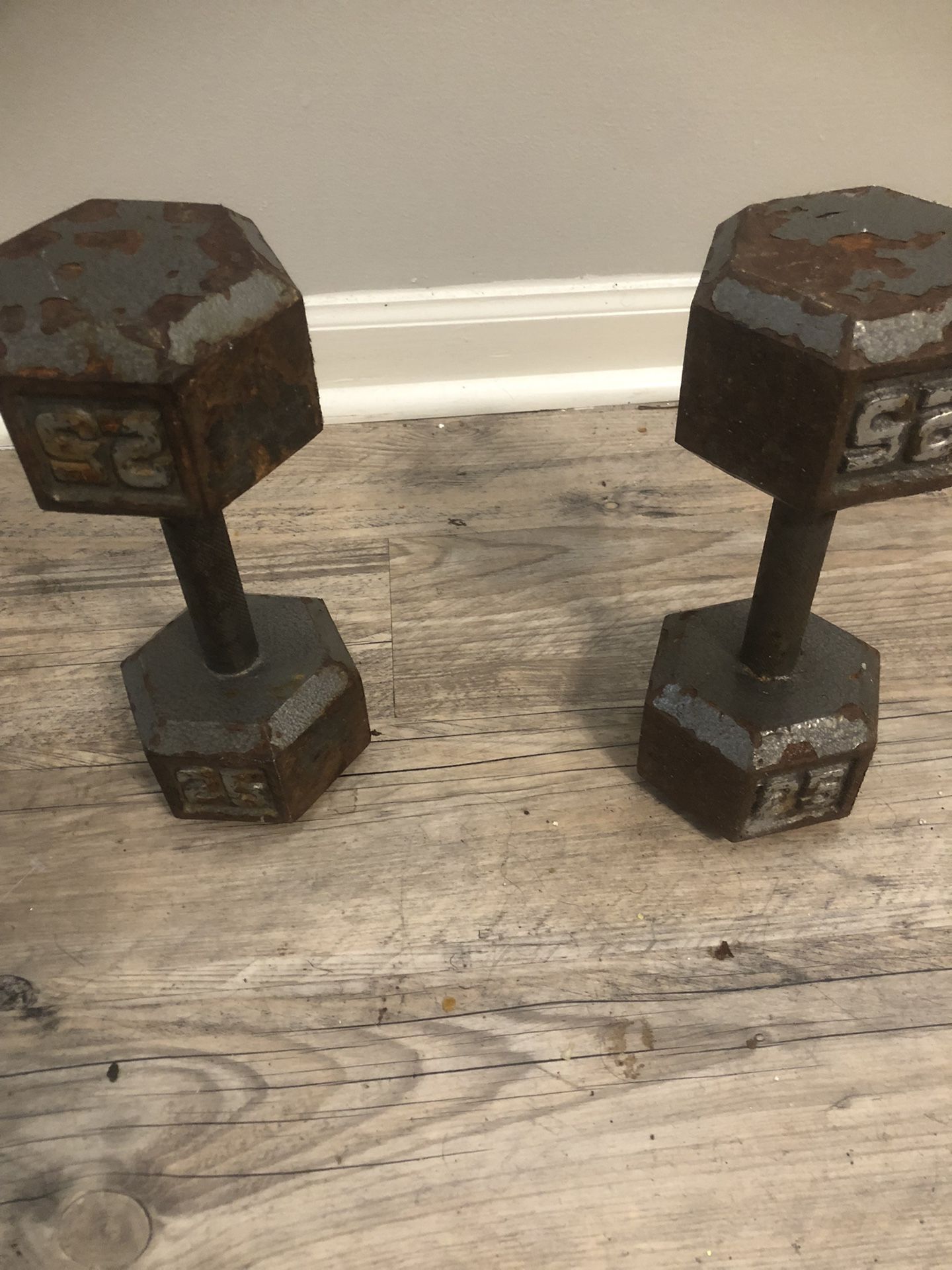 Two 25 Dumbbells For 25 Dollar 