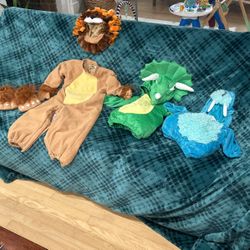 Lion, Walrus And Triceratops Baby And Toddler Halloween Bundle