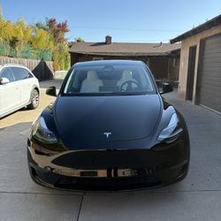 2025 Model Y Performance 