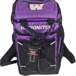 Husky cooler backpack