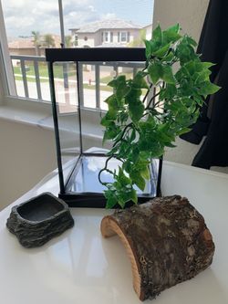 Reptile glass tank with UVB light