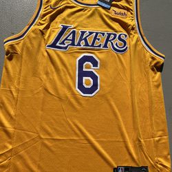 🤴 Lebron James Los Angeles Lakers Home Jersey