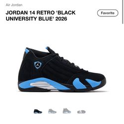 Jordan’s 14s