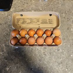 1 Dozen Farm Fresh Eggs