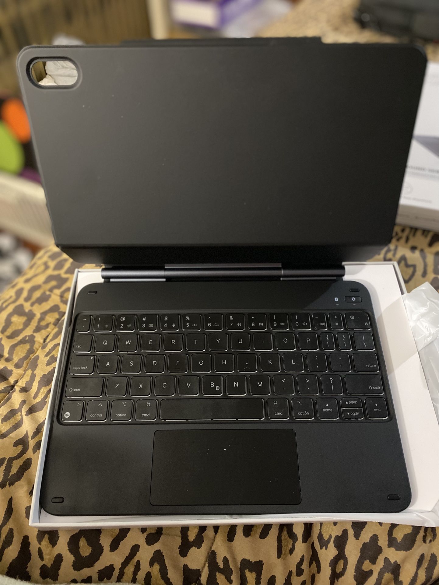 iPad Cases