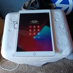 3 Locked Apple Ipads