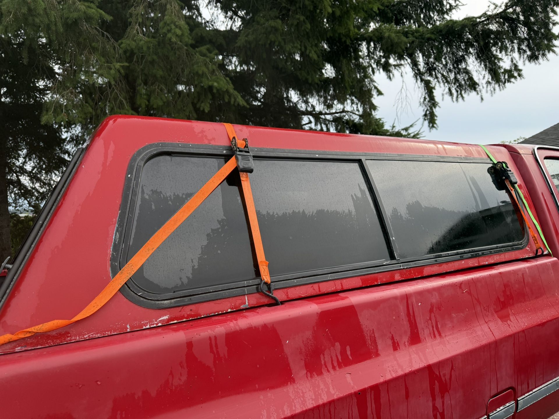 Canopy