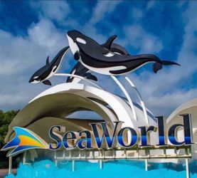 SeaWorld tickets children /adult