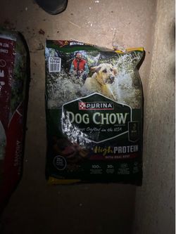 Dog food
