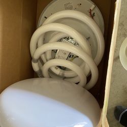 Sealing Lights 