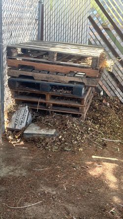 Pallets - free