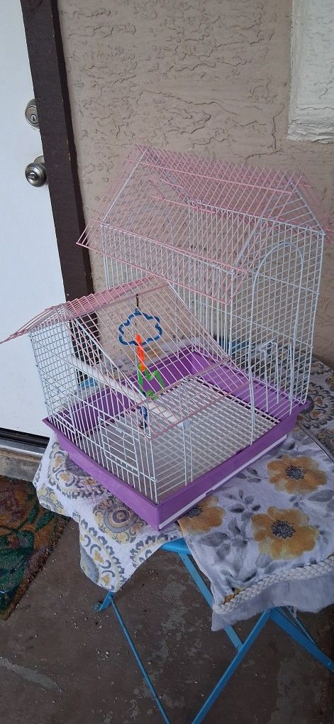Bird Cage
