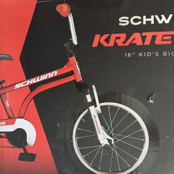 Schwinn Krate EVD