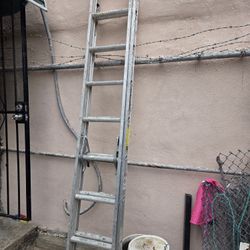 16ft Extendable Ladder And Power Tools