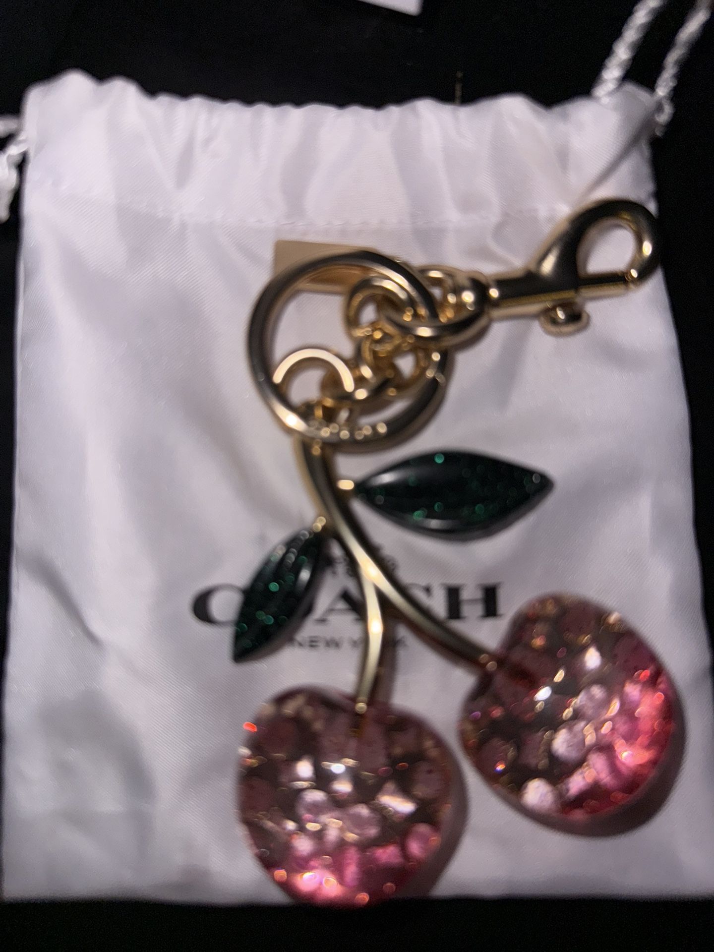 Coach Charm