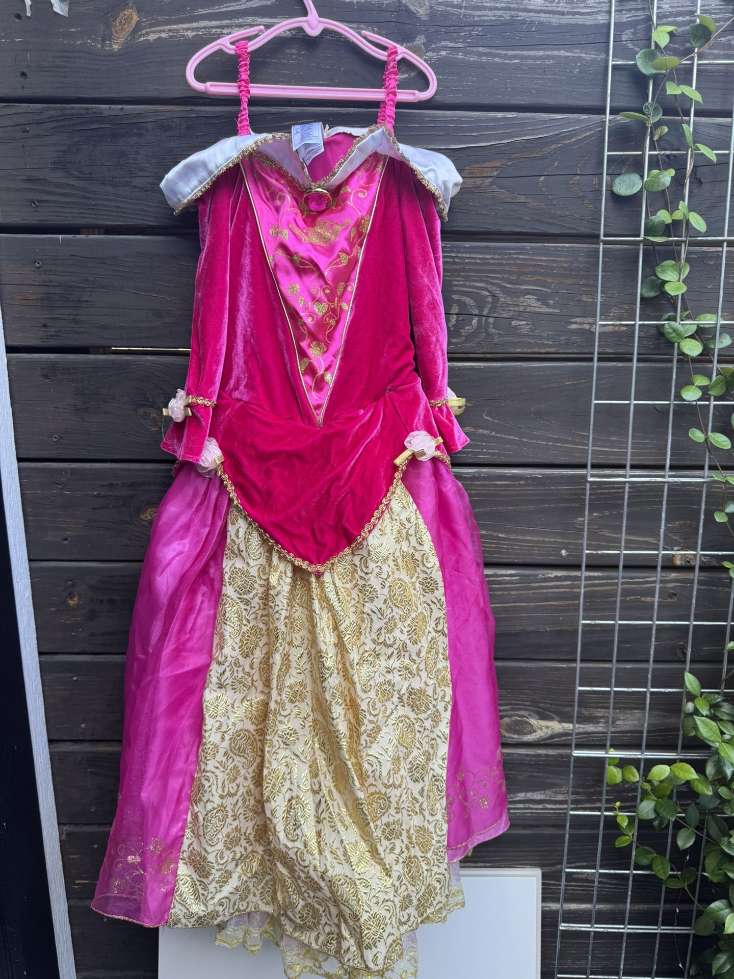 Princes Aurora Authentic Disney Dress