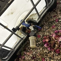 Water Tank Ready To Use