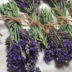 Fresh English Lavender Bundles 