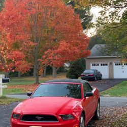 2013 Ford Mustang