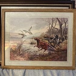 Viencenta Rosos Irish Settlers Hunting Dogs 