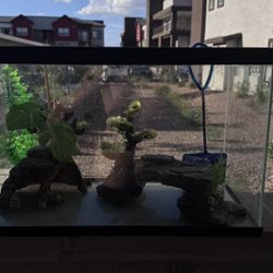 Fish Tank Or Reptile Tank 