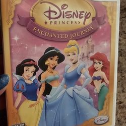 NEW Wii Game Disney Princess: Enchanted Journey 
Cash Firm 