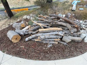 Firewood