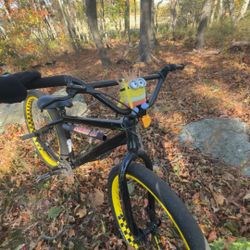 Fully Customized Maniac Flyer