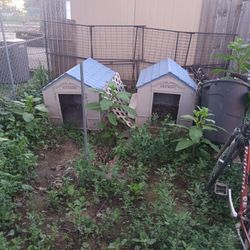 2 Large Dog Houses 