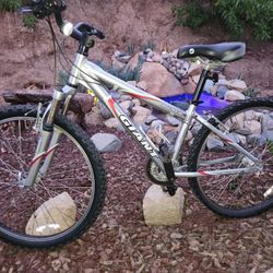 Giant Mountain Bike