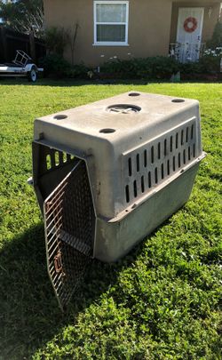 Large Dog kennel