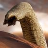 Paul Muad'Dib