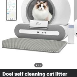 Self Cleaning Litter Box