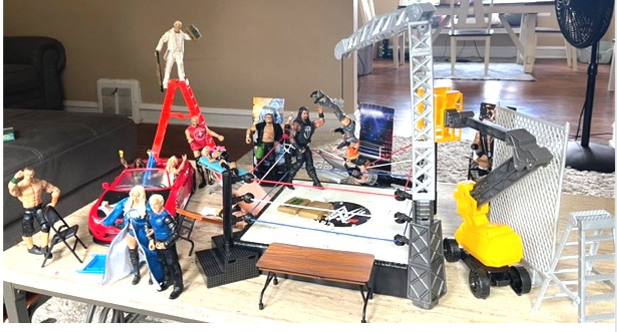 Wwe Action Figure And Accessories Collection