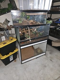 Reptile Terrariums