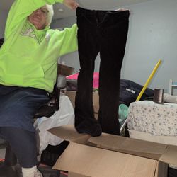 Ann Taylor Loft Pants