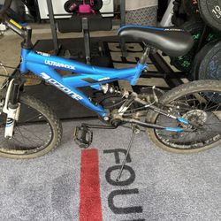 20 In  Ozone Mountain Bike