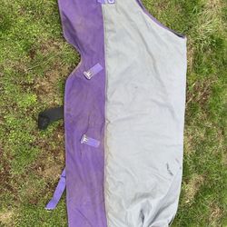 75in Mio Blanket
